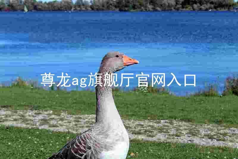 尊龙ag旗舰厅官网入口