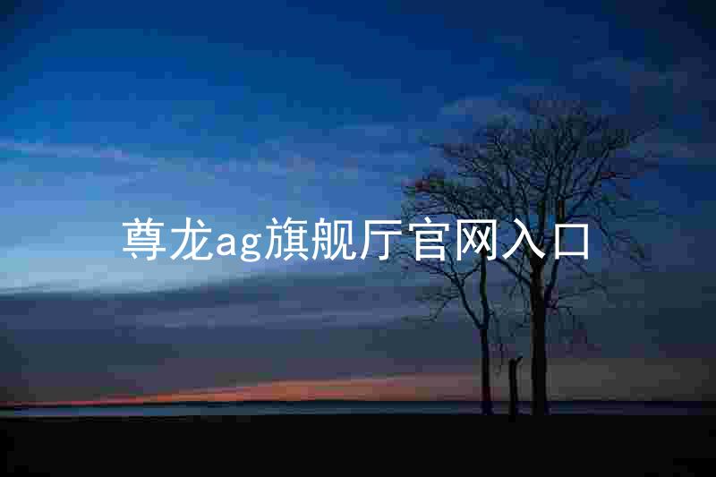 尊龙ag旗舰厅官网入口