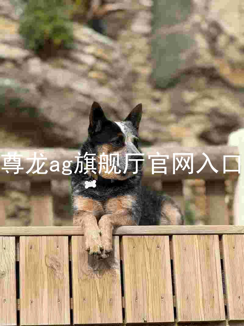 尊龙ag旗舰厅官网入口