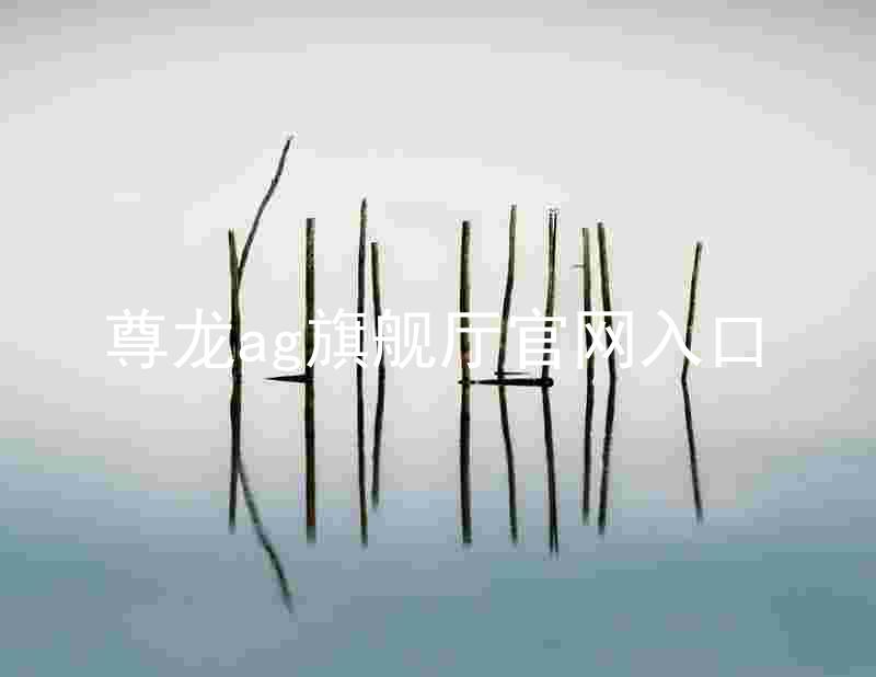 尊龙ag旗舰厅官网入口