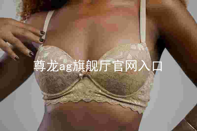尊龙ag旗舰厅官网入口