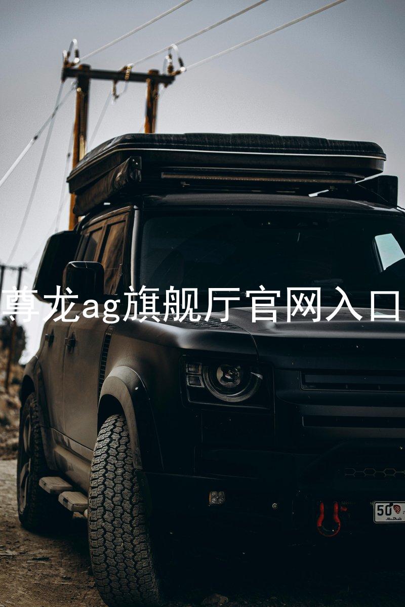尊龙ag旗舰厅官网入口