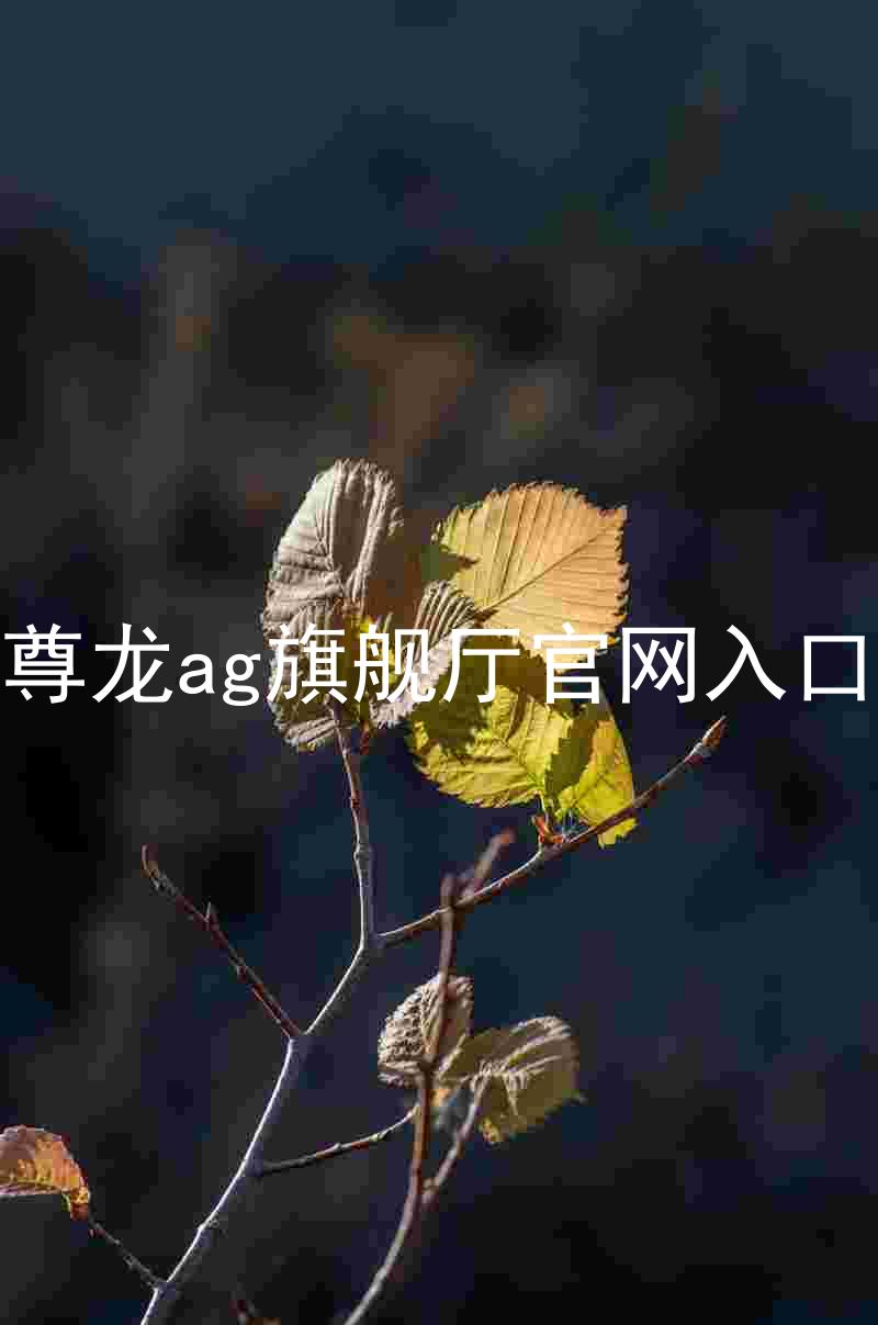 尊龙ag旗舰厅官网入口