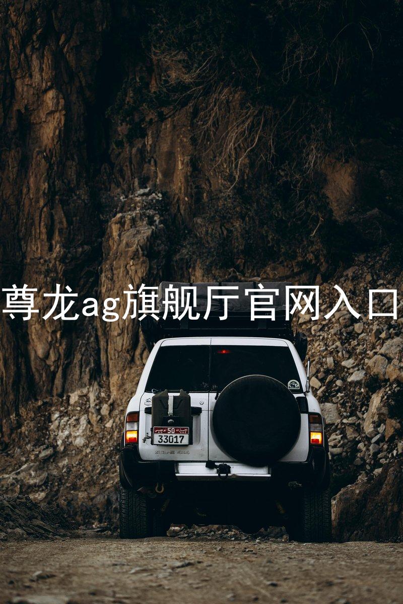 尊龙ag旗舰厅官网入口