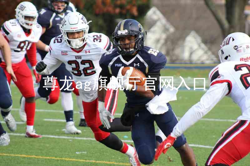 尊龙ag旗舰厅官网入口