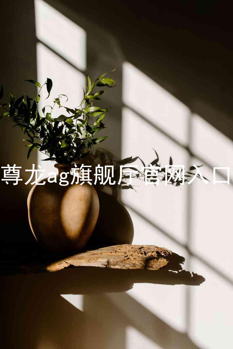 尊龙ag旗舰厅官网入口