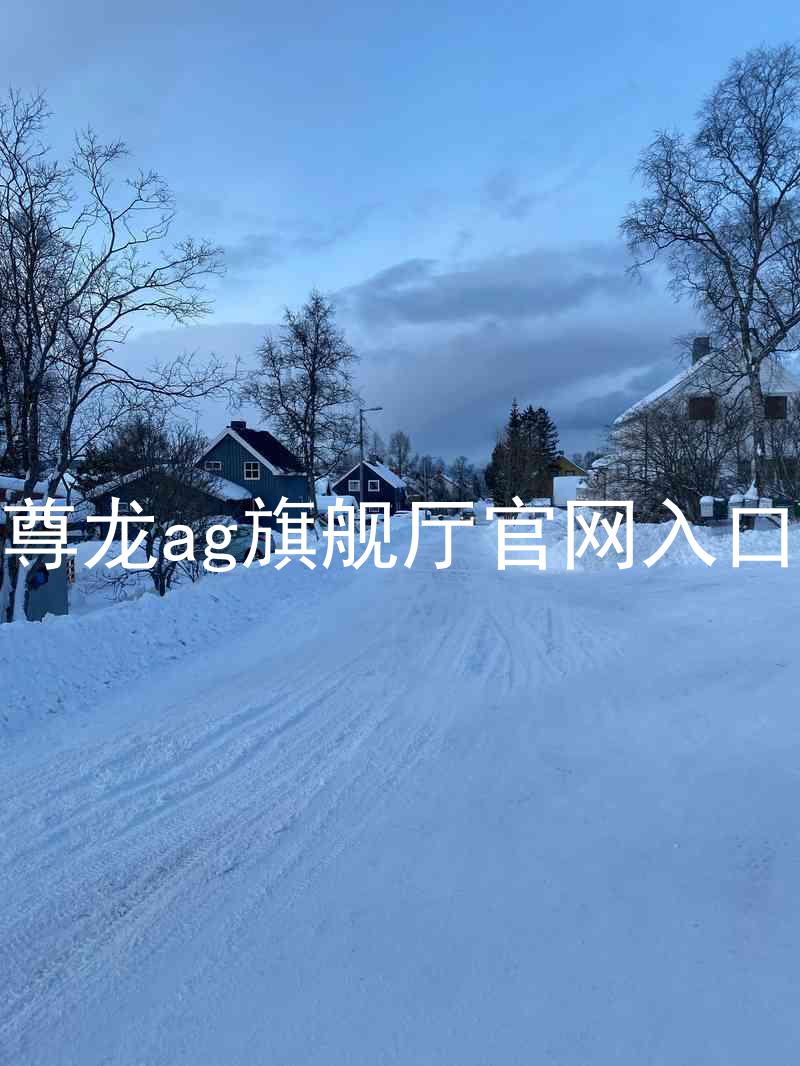 尊龙ag旗舰厅官网入口
