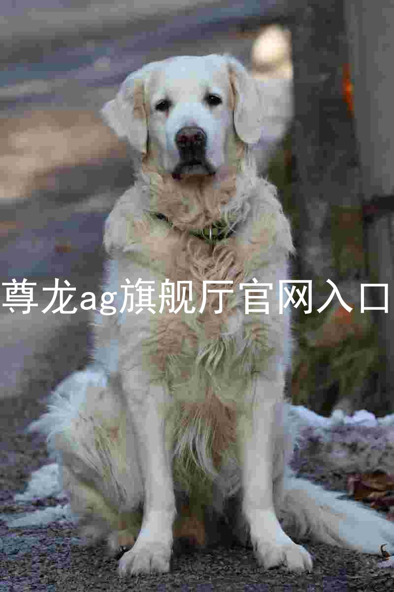 尊龙ag旗舰厅官网入口