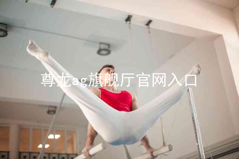 尊龙ag旗舰厅官网入口