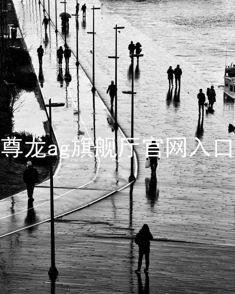 尊龙ag旗舰厅官网入口