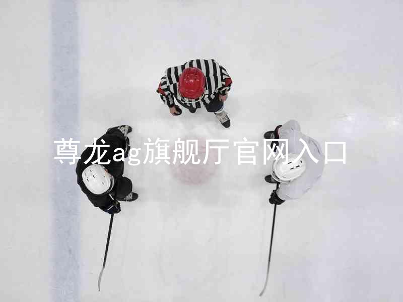 尊龙ag旗舰厅官网入口
